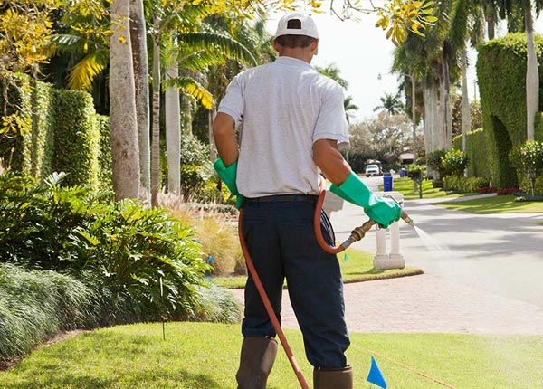 About Alton VA Pest Control